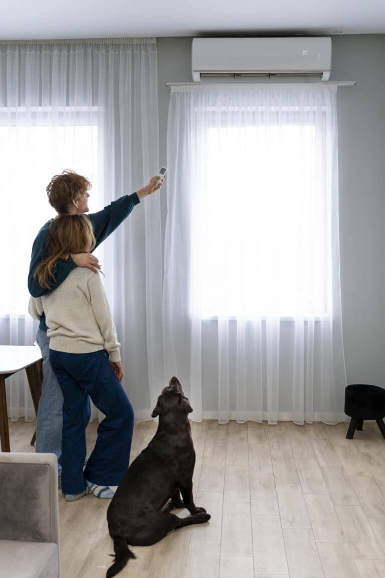 A couple stands in a bright room with light curtains, using a remote to operate an air conditioner, while a black dog sits on the floor—wondering why your house feels humid even with the AC on.